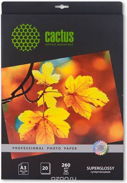 Cactus Prof CS-HGA326020 A3/260/2      (20 )